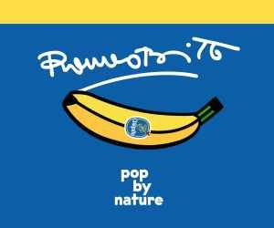 Pop by Nature