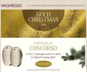 CONCORSO GOLD CHRISTMAS VAGHEGGI 2014