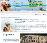 site