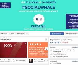 SOCIAL WHALE