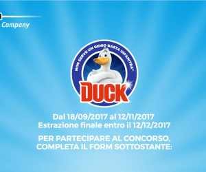 Vinci con Duck
