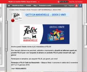 FELIX Gatti da Marachelle 3