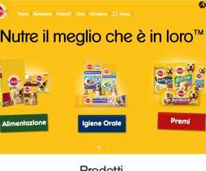 Condividi il Natale insieme a loro