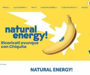 NATURAL ENERGY 2018