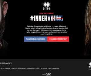 Inner Viking