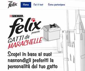 FELIX “Gatti da Marachelle 2”