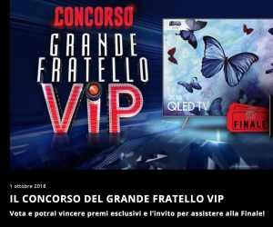 GRANDE FRATELLO VIP