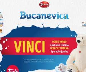 BUCANEVICA 2018/2019