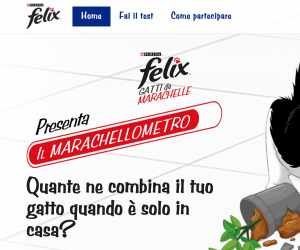 FELIX GATTI DA MARACHELLE