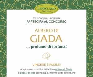 ALBERO DI GIADA… PROFUMO DI FORTUNA
