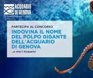 Indovina il nome del polpo dell’Acquario di Genova