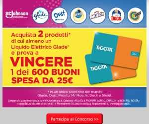 PULISCI & PROFUMA CON SC JOHNSON – VINCI CARD TIGOTA’