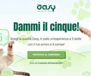 Oasy Dammi il cinque!