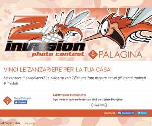 Z INVASION