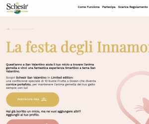 SAN VALENTINO – GATTI E ANIME GEMELLE…