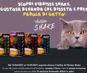 VIBRISSE SHAKE