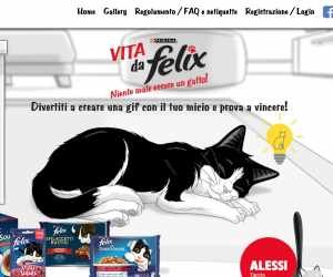 VITA DA FELIX. Niente male essere un gatto