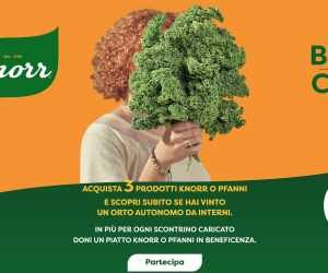 BUON CIBO KNORR