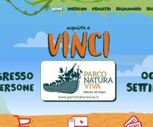 VINCI CON SMARTIES 2022