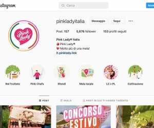 Calendario dell'Avvento del raccolto Pink Lady®