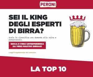 VUOI ESSERE UN ESPERTO DI BIRRA?
