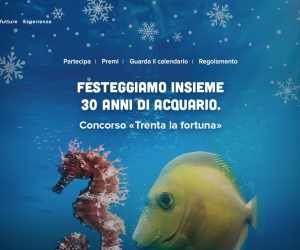 TRENTA LA FORTUNA