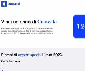 Vinci un anno di Catawiki