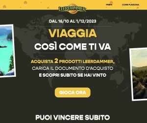 VIAGGIA COSI’ COME TI VA CON LEERDAMMER