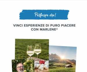 Marlene Esperienza Culinaria 2.0 - Concorso