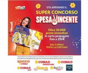 Spesa Vincente