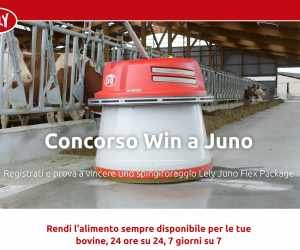 Win a Juno