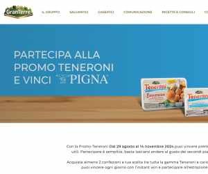 PROMO TENERONI