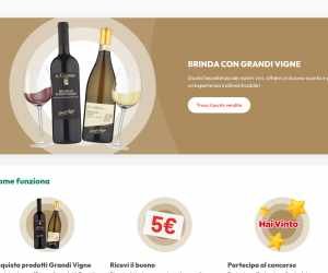 BRINDA E VINCI