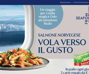 SALMONE NORVEGESE VOLA VERSO IL GUSTO