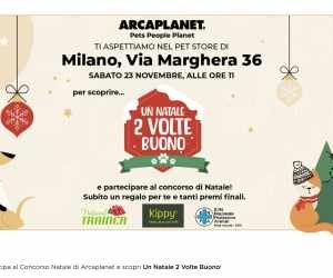 CONCORSO NATALE 2024