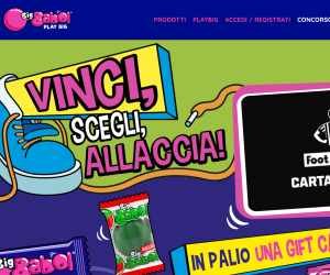 BIG BABOL 2025