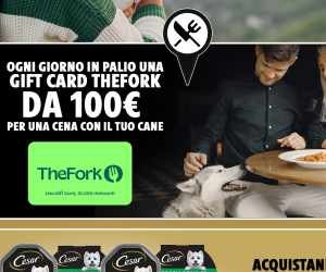 CONCORSO CESAR: INSIEME E’ MEGLIO