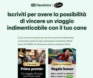 Vinci un viaggio con il tuo cane – CESAR Canine Cuisine x Tripadvisor