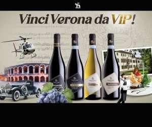 Vinci Verona da VIP