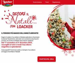 Decora il Natale... con Loacker