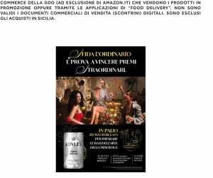 VINCI CON KINLEY FESTIVE 2025