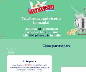 VINCI UNA PLANETARIA KITCHEN AID CON PANEANGELI