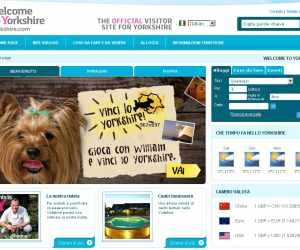 VINCI LO YORKSHIRE