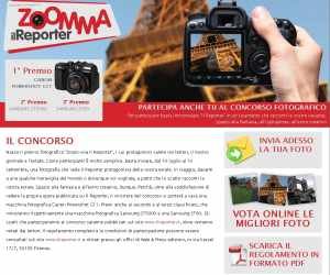 ZOOM-MA IL REPORTER