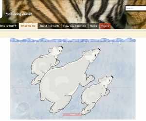Dai un nome a un orso polare
