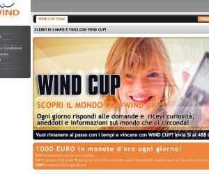 WIND CUP