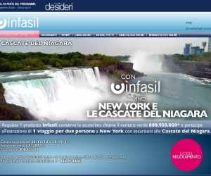 VINCI NEW YORK E LE CASCATE DEL NIAGARA