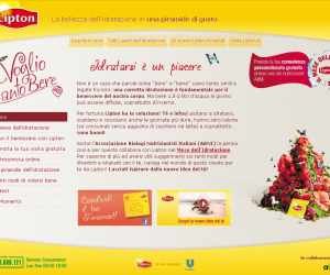 Lipton Cancella & Vinci