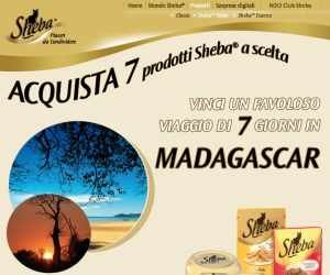 7 GIORNI CON SHEBA