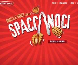 SPACCANOCI